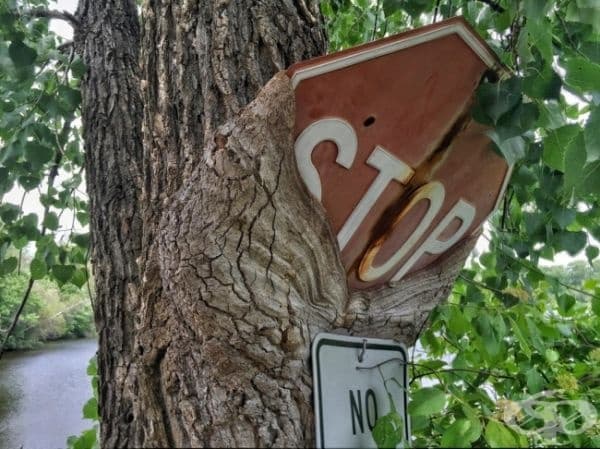 Природата винаги намира начини.