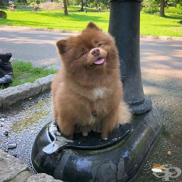 Ах, какво невероятно чисто създание!