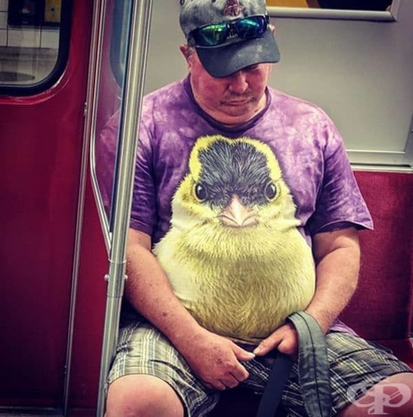 Блузата ми пасва идеално.