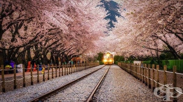 Гара Gyeonghwa, Южна Корея.