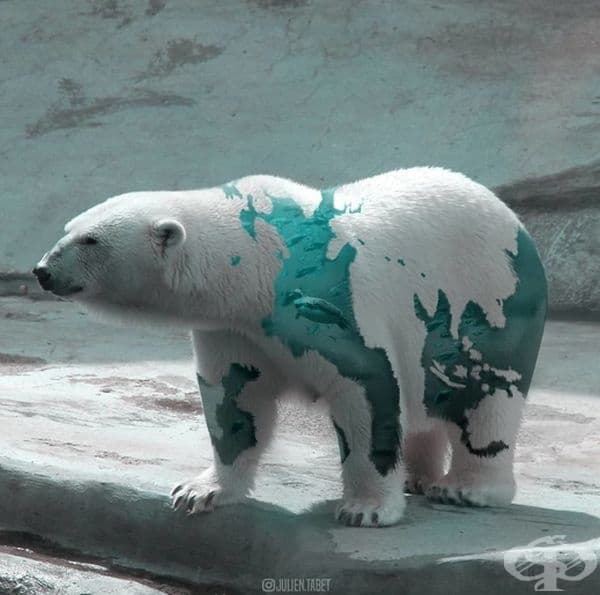 Френски дигитален художник използва умело Photoshop и създава фантастични животни