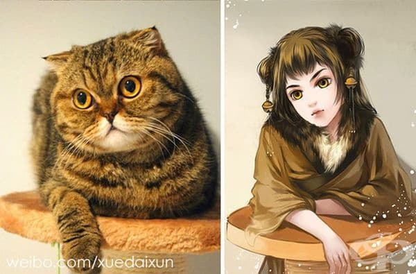 20 изображения на герои с визия, вдъхновени от различни кучета и котки