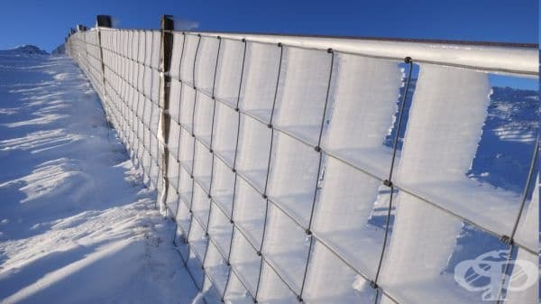 Замръзнала ограда, превърната в перфектна ледена скулптура.