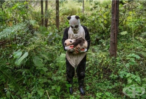 35 най-добри снимки в историята на National Geographic