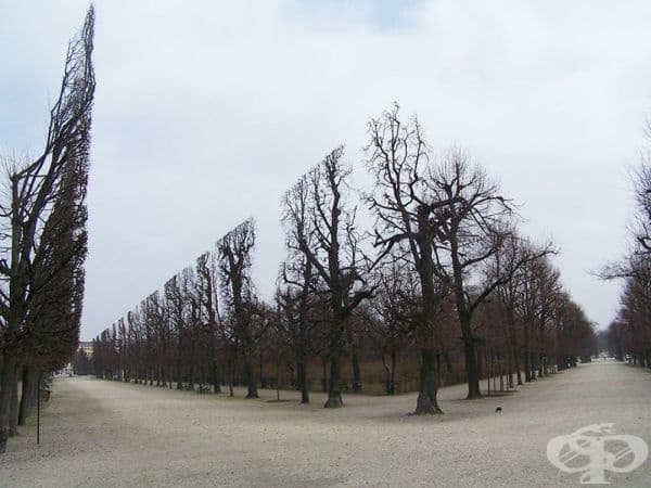 Шонбрун, Австрия