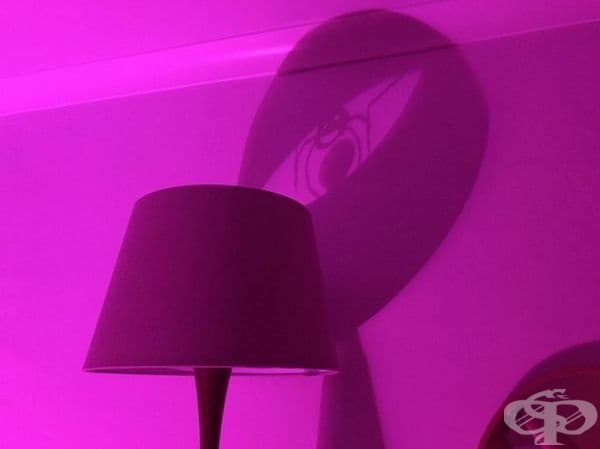 Странно око или забавен паяк с топка?