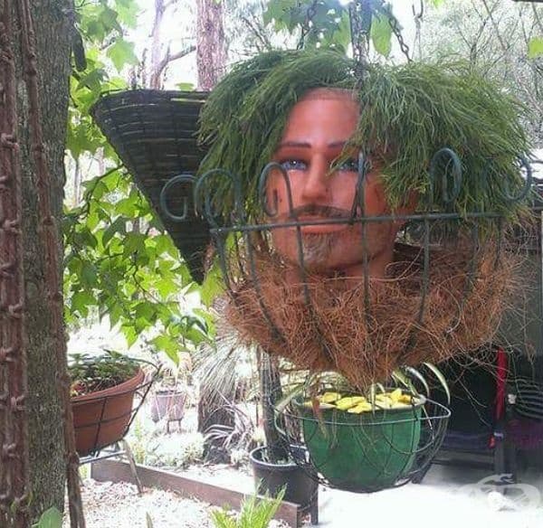 35 снимки на стари кукли, превърнати в саксии
