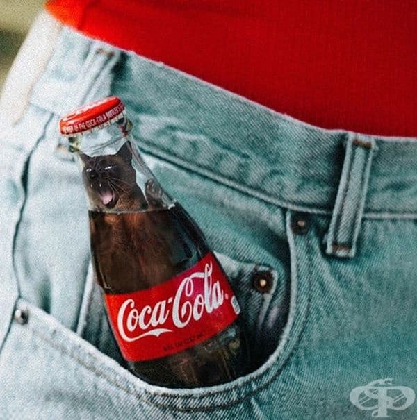 20 снимки, които съчетават несъчетаемото