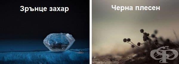 28 зашеметяващи снимки отблизо на познати обекти