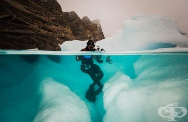 35 най-добри снимки в историята на National Geographic