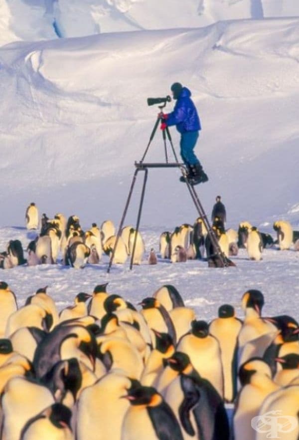 35 най-добри снимки в историята на National Geographic