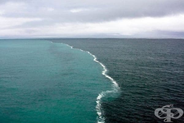 Северно море и Балтийско море.