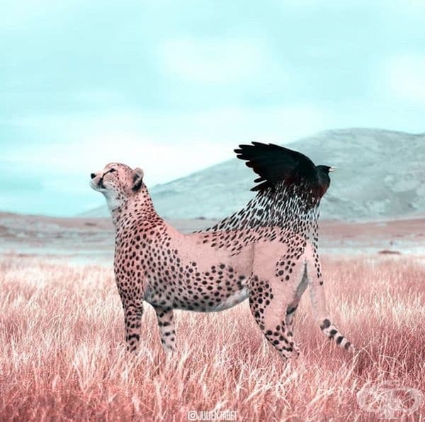 Френски дигитален художник използва умело Photoshop и създава фантастични животни