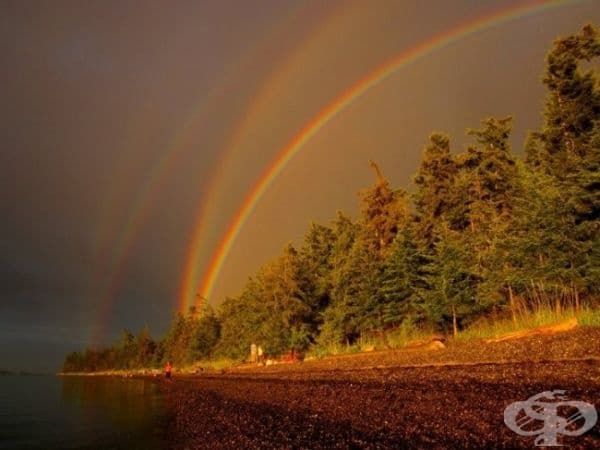 Четворна дъга.