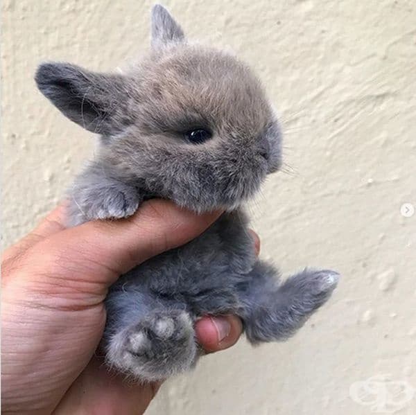 То е толкова сладко за този свят.