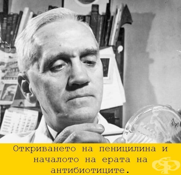 26 невероятни снимки, които разкриват колко се е променил света през последните 100 години