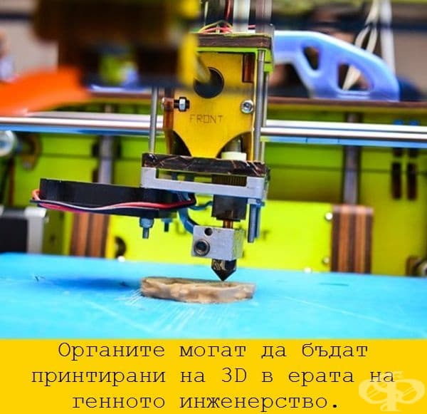 26 невероятни снимки, които разкриват колко се е променил света през последните 100 години
