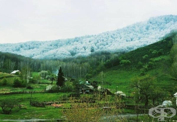 Снеговалеж в Алтай.