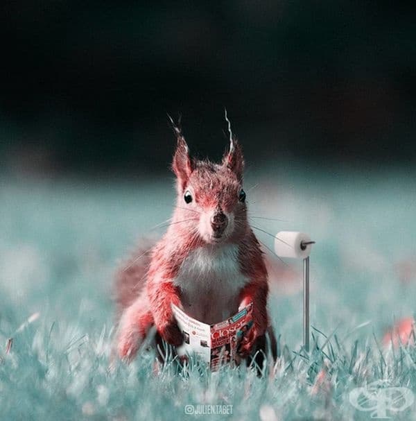 Френски дигитален художник използва умело Photoshop и създава фантастични животни