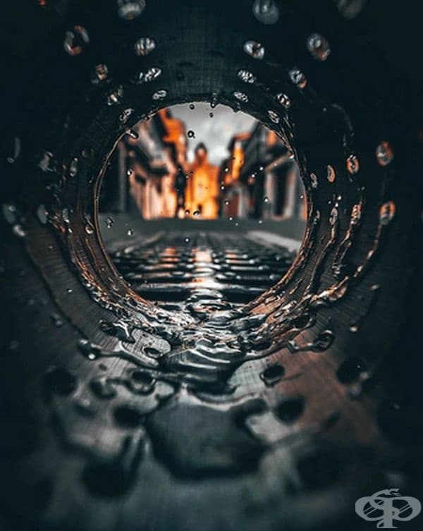 Повечето снимки са споделени в акаунта му в Instagram.