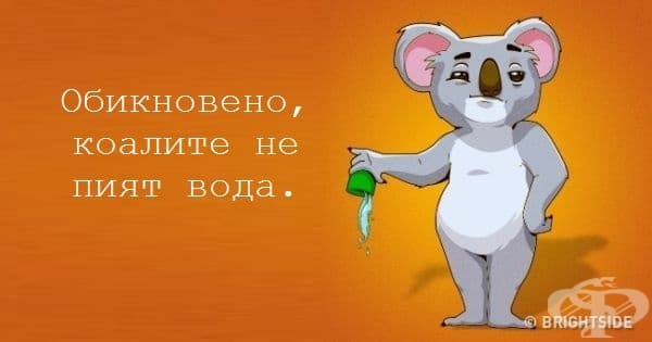12 невероятни факта, които всеки трябва да знае