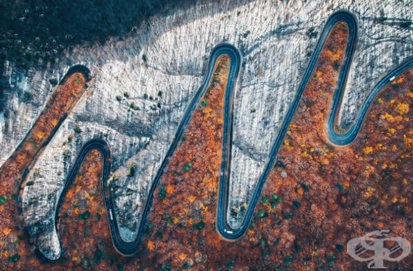 Кардиограма на сезоните.