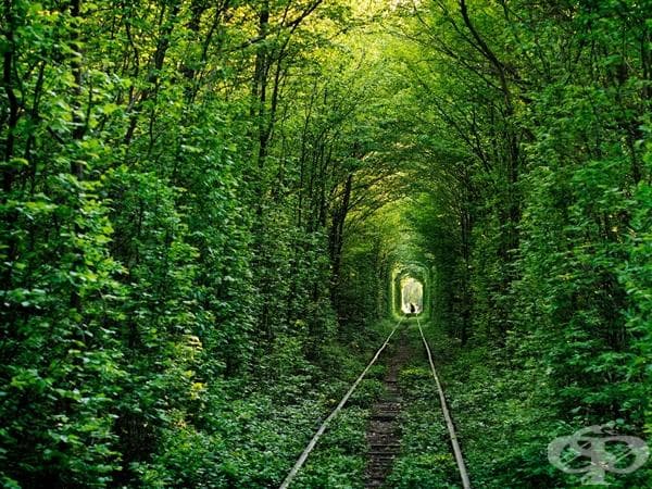 Тунелът на любовта, Украйна
