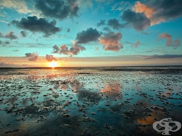Wadden Sea - Холандия, Германия, Дания