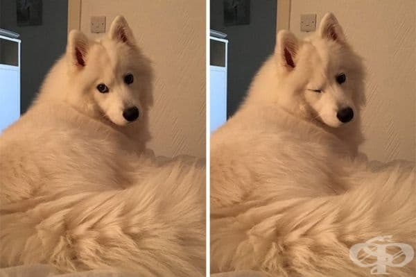 Когато фотографът ти каже, че си сладък, докато те снима.