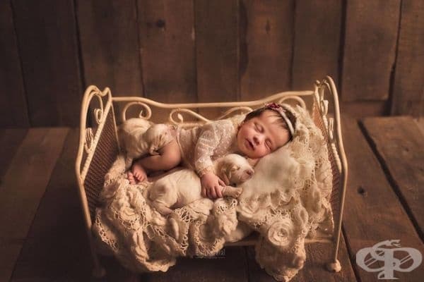 20 прекрасни снимки на бебета с животни