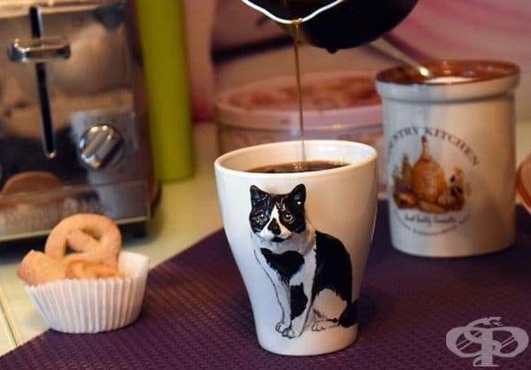 20 ръчни 3D скулптури на домашни любимци върху чаши