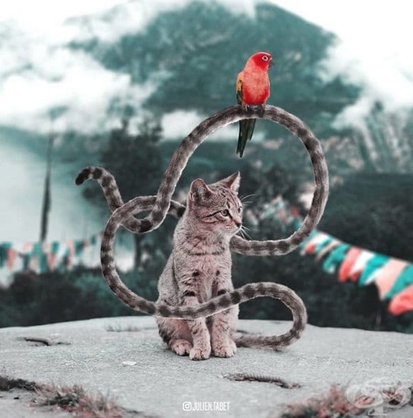 Френски дигитален художник използва умело Photoshop и създава фантастични животни