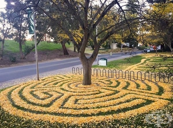 Лабиринт от окапали листа.