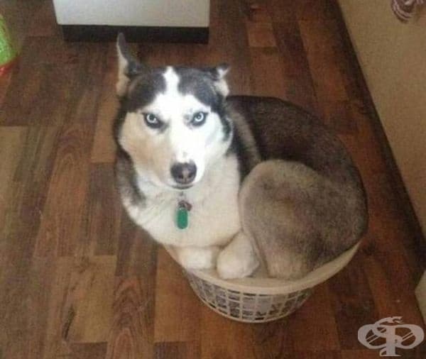 И не само кутии.