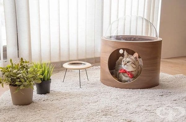 Дизайнерска компания създава космически легла за котки