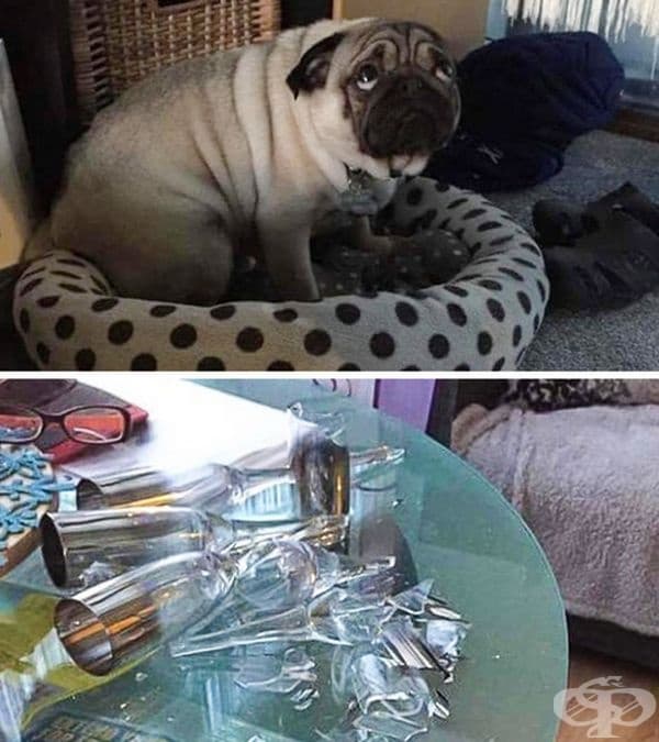 Виновен!