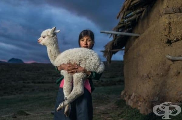 35 най-добри снимки в историята на National Geographic
