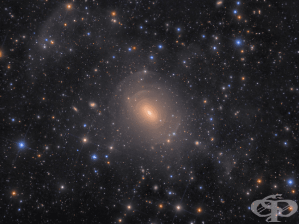 "    NGC 3923   "    ().