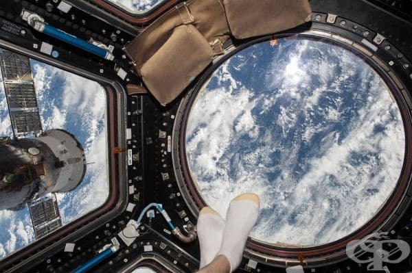 Много по-добра снимка, от всяка тип "крака на плажа", която някога сме виждали.