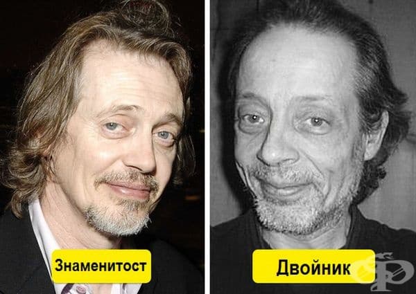 Не, това не са две снимки на Стив Бушеми!