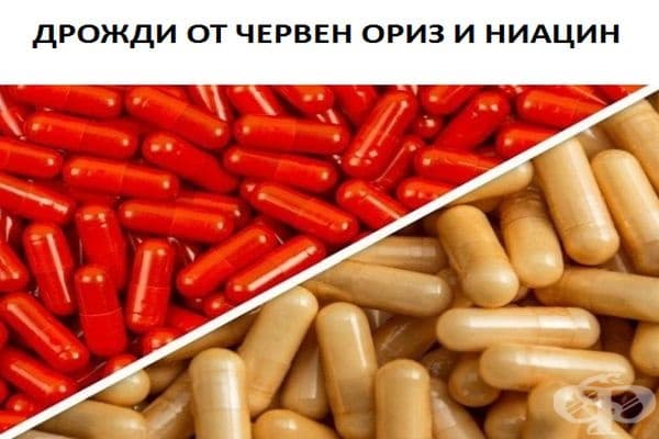 Нивата на холестерола могат да бъдат намалени с помощта на тези две добавки, но те не са ефективни, ако се приемат заедно. Комбинацията може да бъде опасна за черния дроб, особено ако трябва да се удвои.