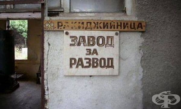 25 абсурдни надписи и табели, открити в България - изображение