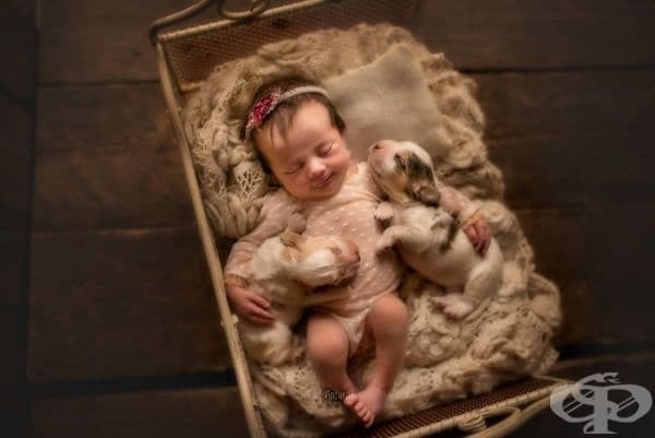 20 прекрасни снимки на бебета с животни