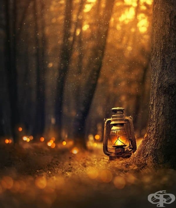 15 изображения, в които главният герой е старинен фенер