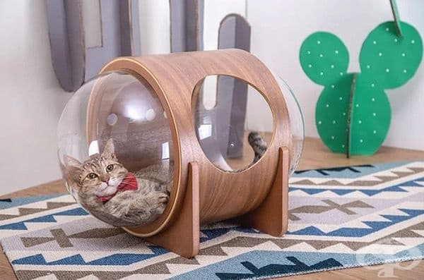 Дизайнерска компания създава космически легла за котки