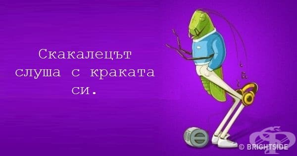 12 невероятни факта, които всеки трябва да знае