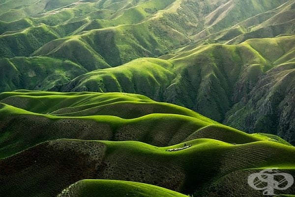 Море от планини в зелено. Не е вълнуващо?