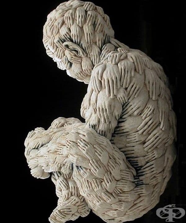 Адриан Арлео - Бебе от ръце, 2005 г.