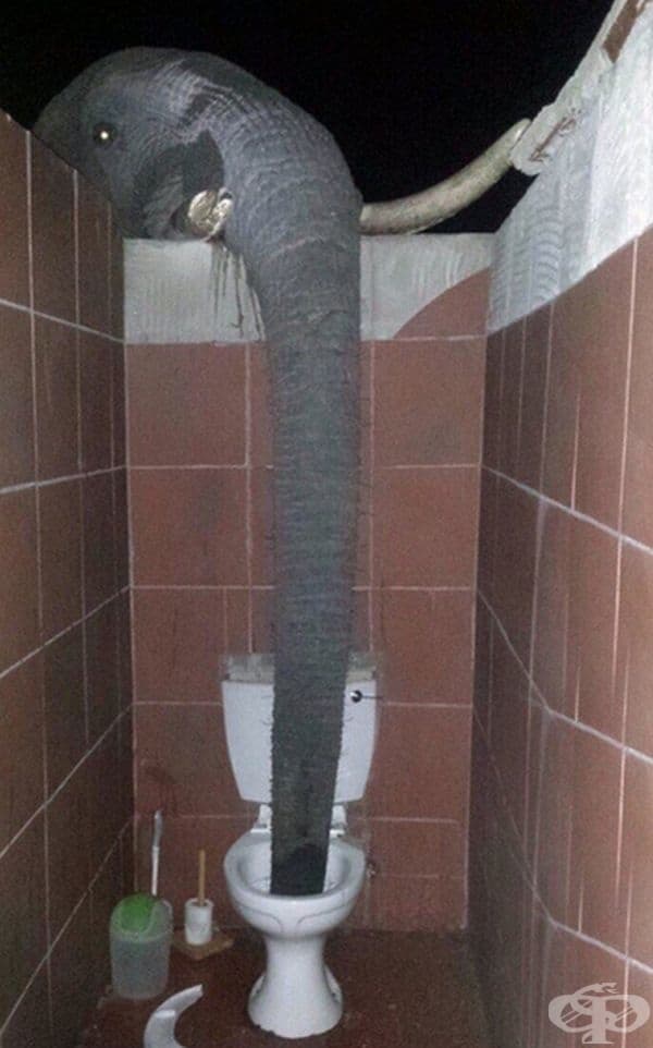 Жаден?