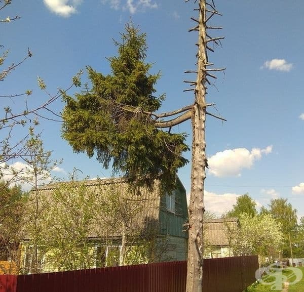 Желанието за живот е по-силно.